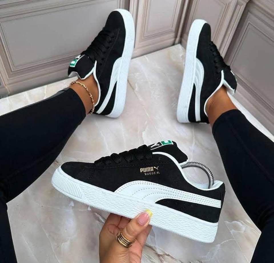 Puma seude